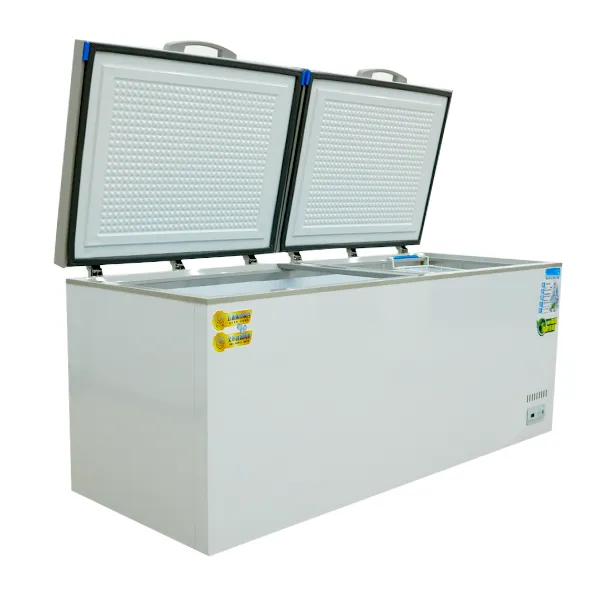 commercial chest freezer for frozen food store