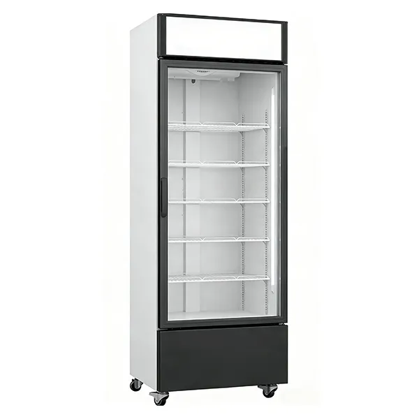 cold drink cooler for wholesale market for frozen product display